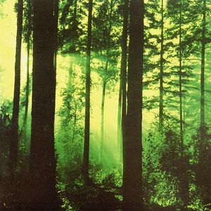 Thy Serpent - Forests of Witchery